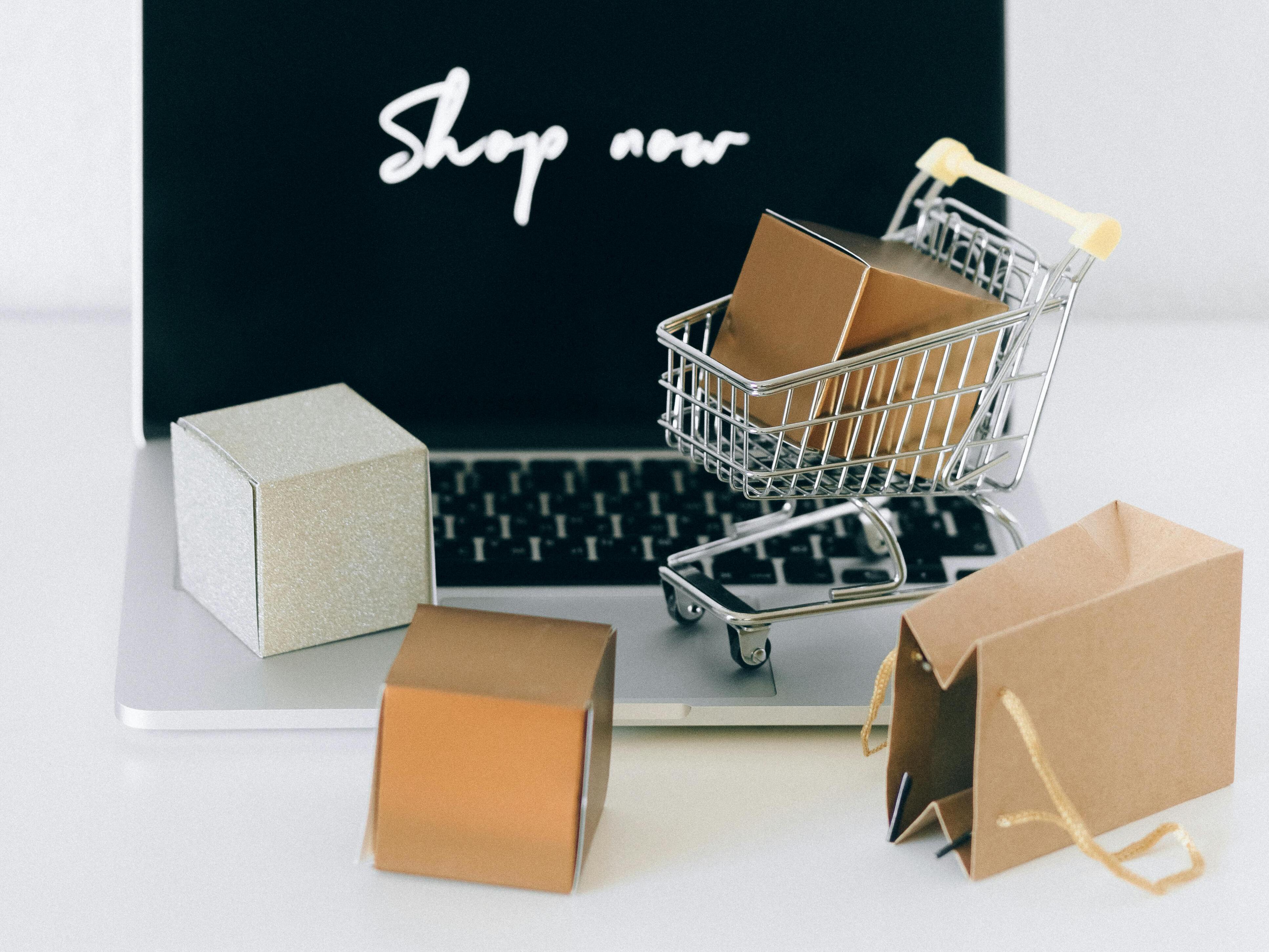 Website en webshop ontwikkeling